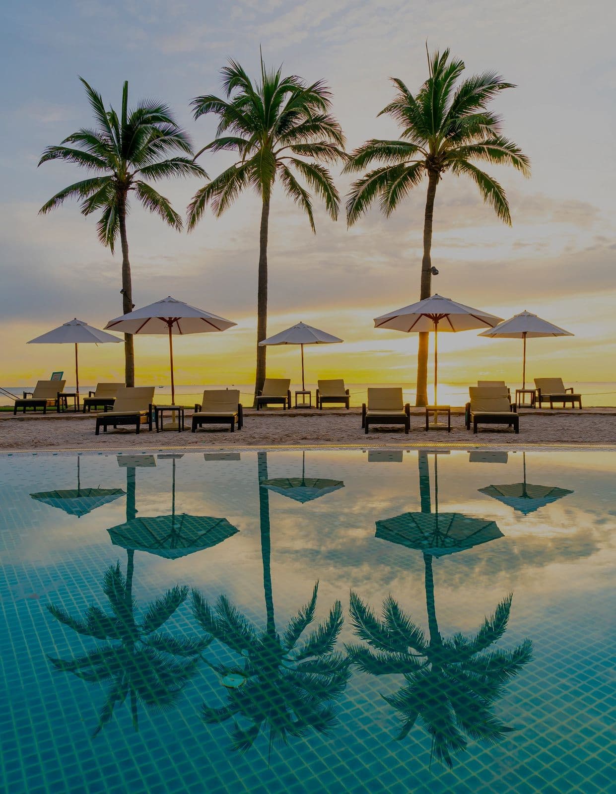 Resort pool lined with palm trees at sunset