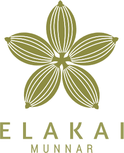Elakai