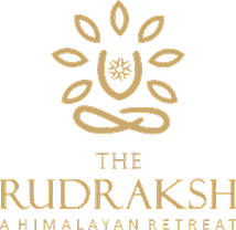 Google Ads Case Study: The Rudraksh, A Himalayan Retreat