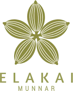 Elakai