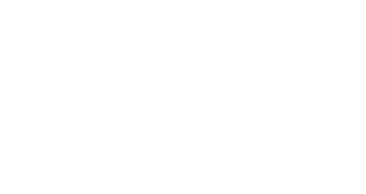 Fielmente - India’s Leading